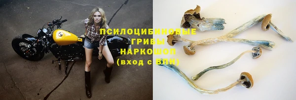 apvp Вязьма