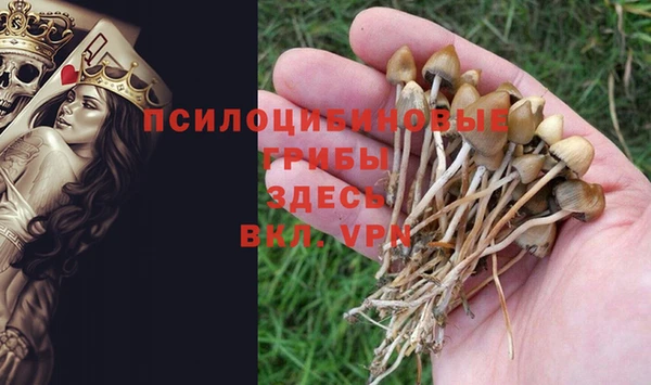 винт Верхний Тагил